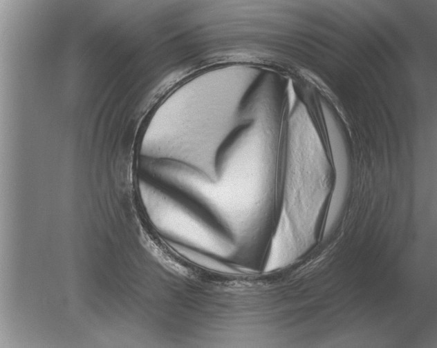 X0000080110938200612301940