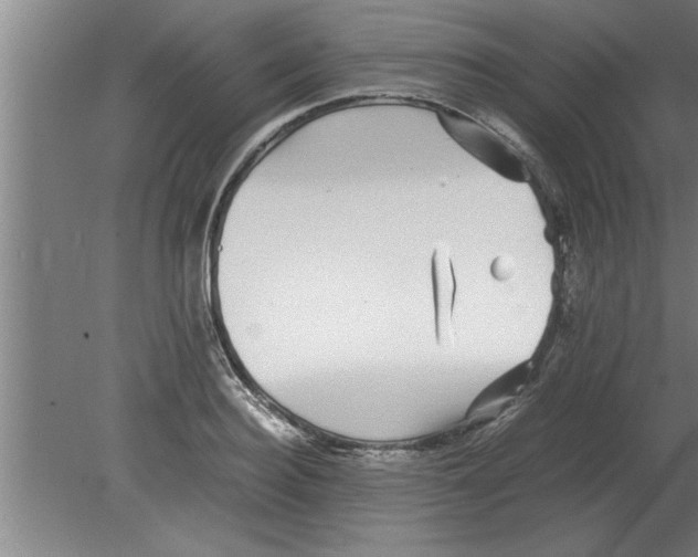 X0000080110940200612301940