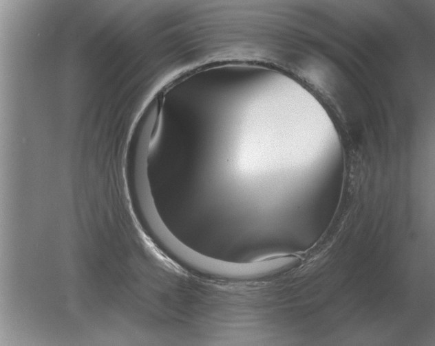 X0000080110942200612301940