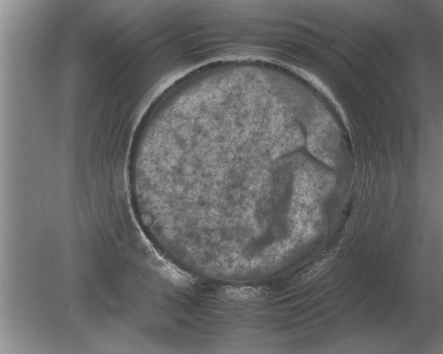 X0000080110943200612301940