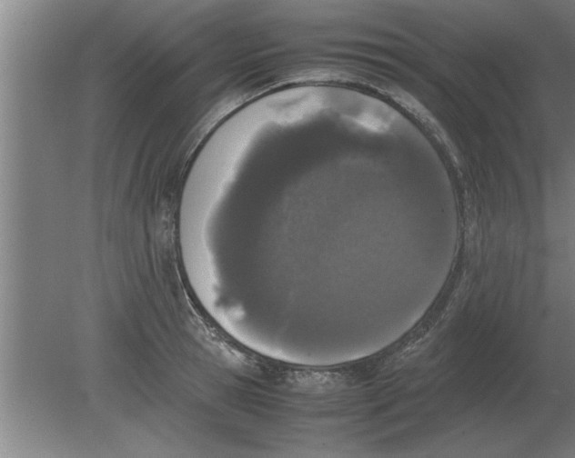 X0000080110945200612301940