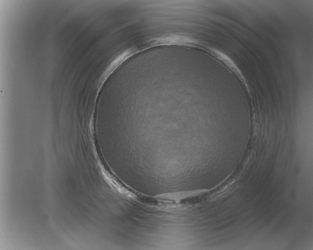 X0000080110946200612301940