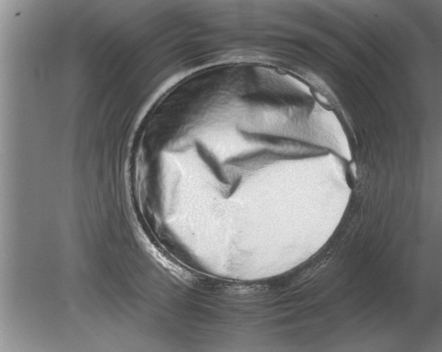 X0000080110947200612301940