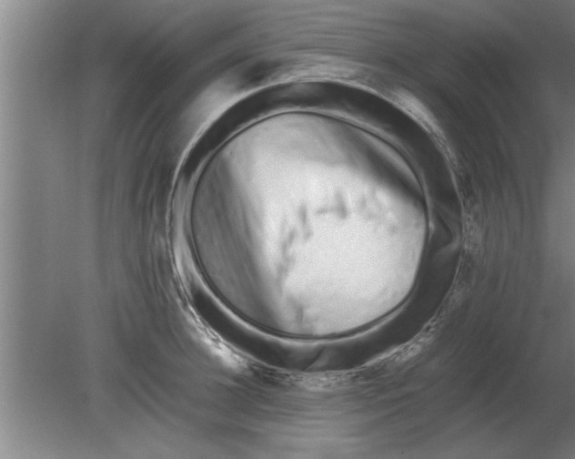 X0000080110948200612301940