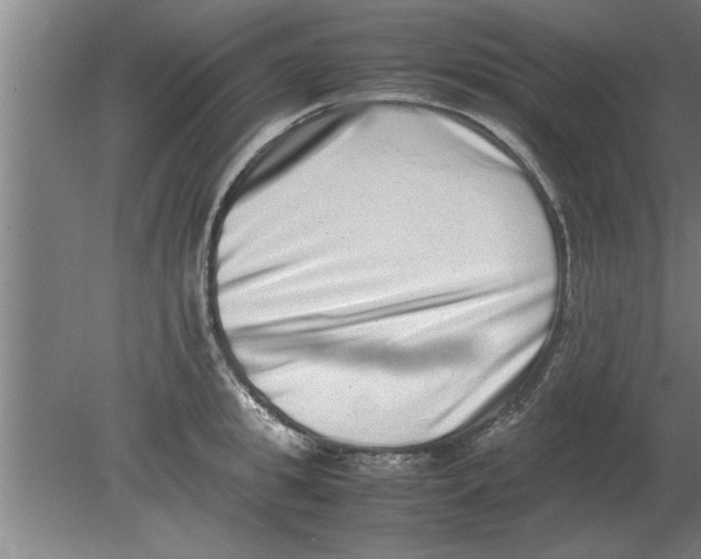 X0000080110949200612301940