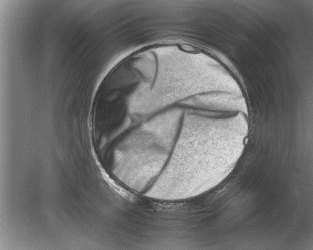 X0000080110951200612301940