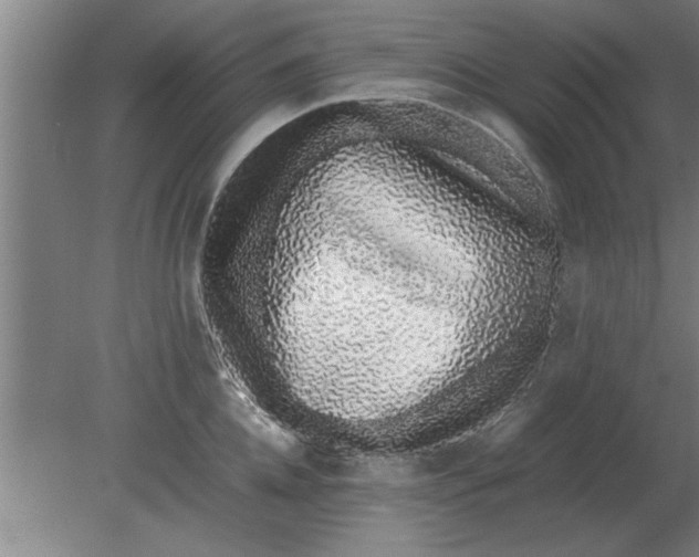 X0000080110952200612301940