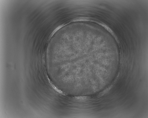 X0000080110953200612301940