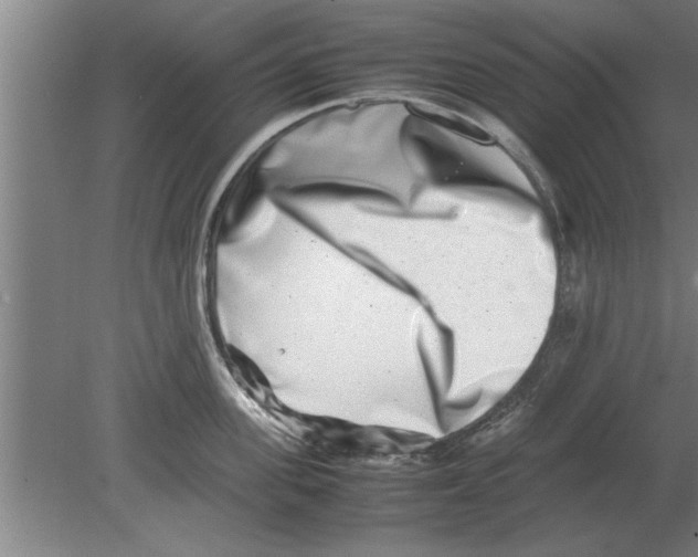 X0000080110955200612301940