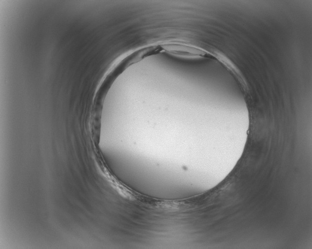 X0000080110956200612301940