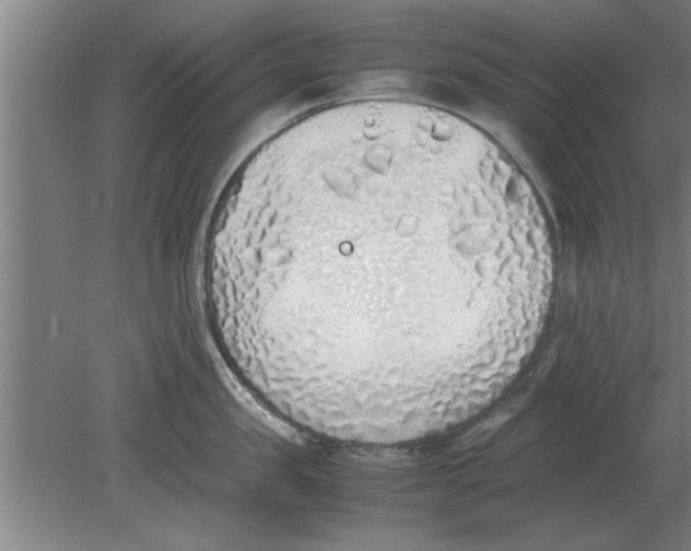 X0000080110957200612301940