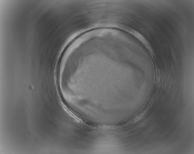 X0000080110958200612301940