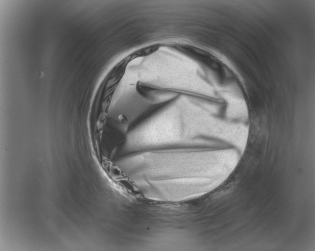 X0000080110959200612301940