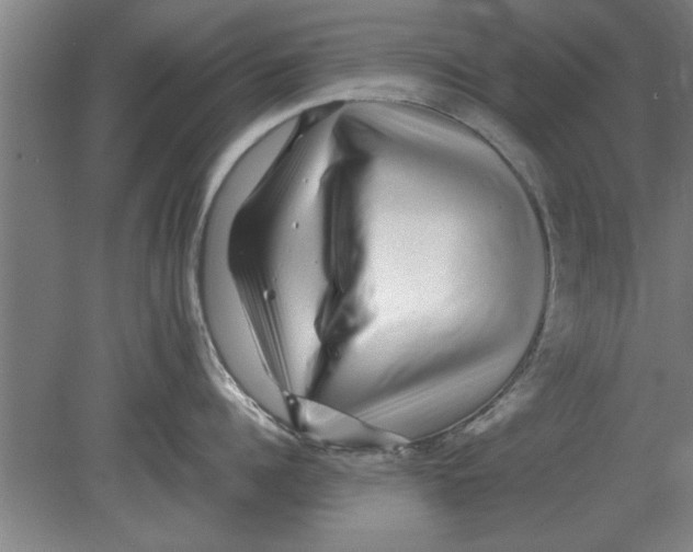 X0000080110960200612301940