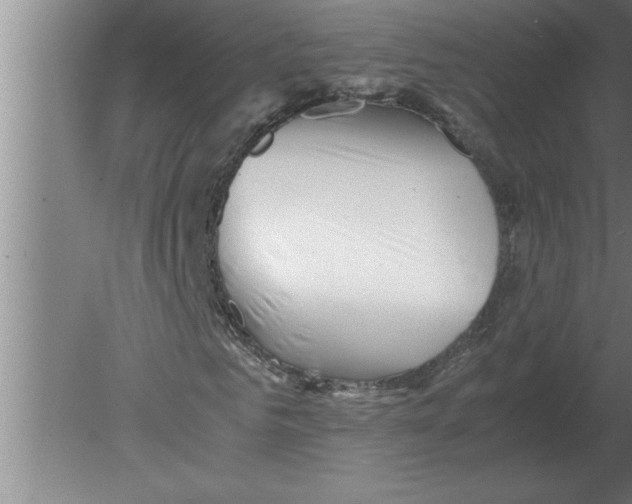 X0000080110961200612301939