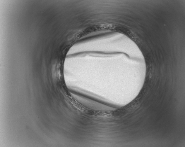 X0000080110962200612301939