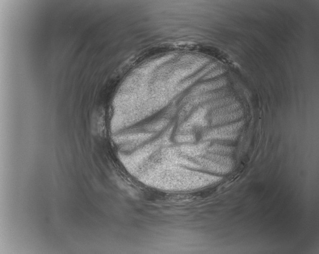 X0000080110963200612301939