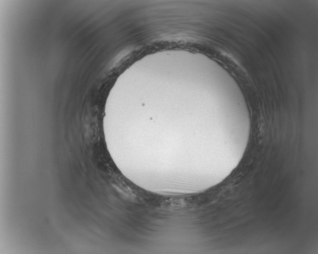 X0000080110968200612301939