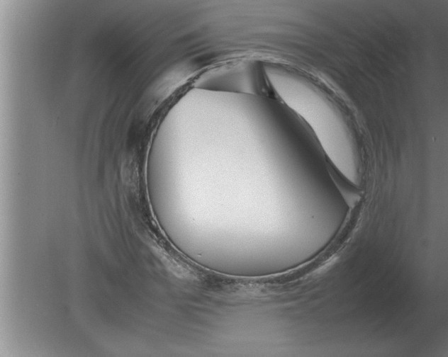 X0000080110969200612301939