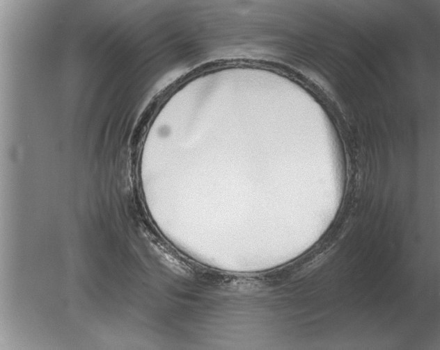 X0000080110974200612301939