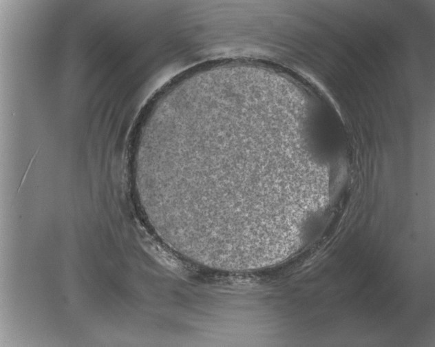 X0000080110975200612301939