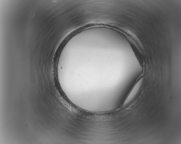 X0000080110976200612301939