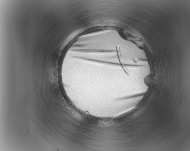 X0000080110978200612301939