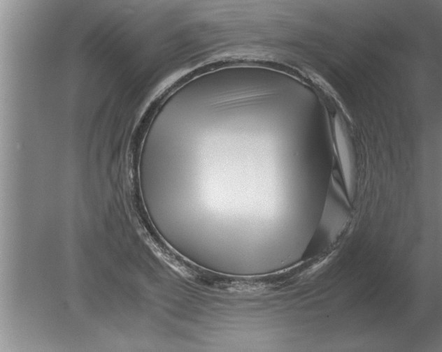 X0000080110981200612301939