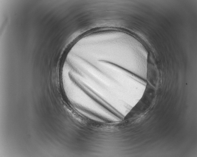 X0000080110982200612301939