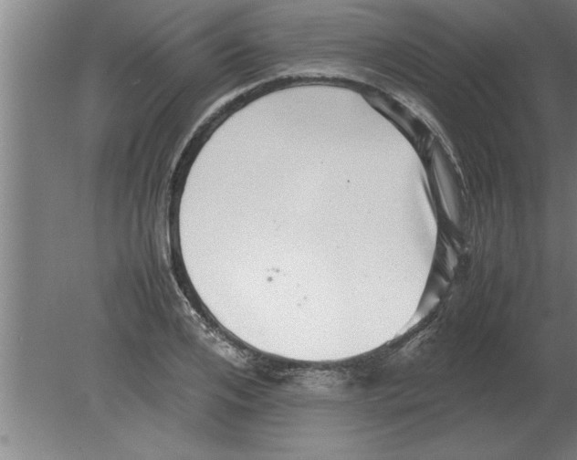 X0000080110984200612301939