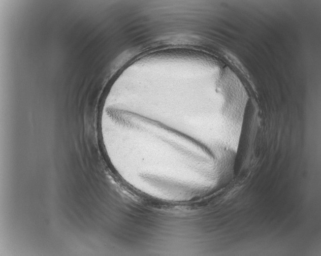 X0000080110986200612301939