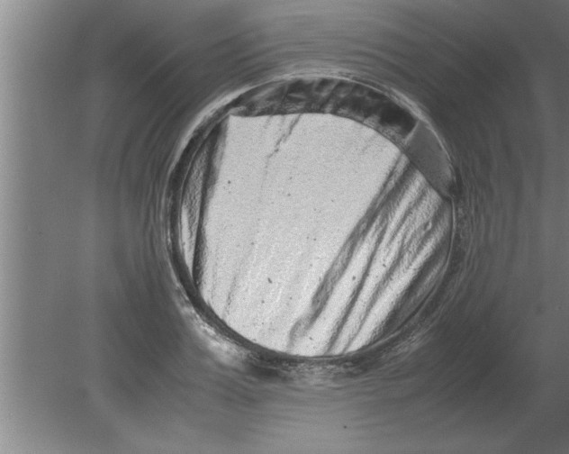 X0000080110987200612301939