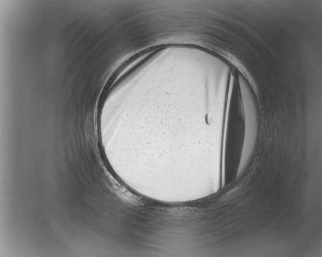 X0000080110988200612301939