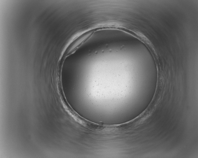 X0000080110989200612301939