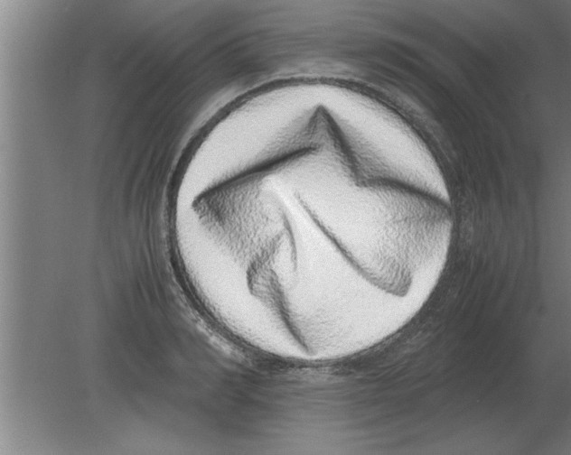 X0000080110990200612301939