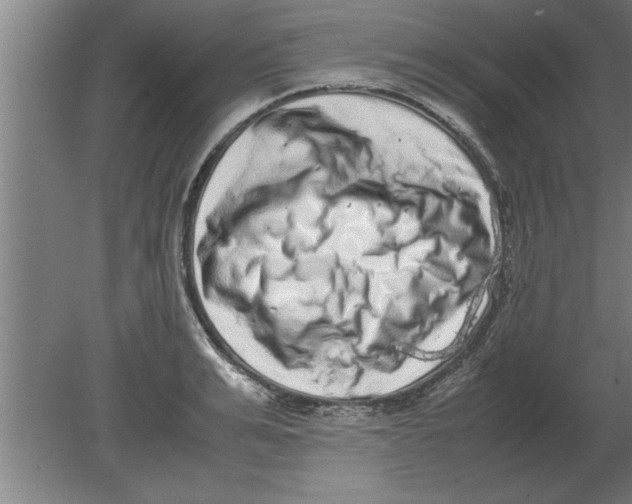 X0000080110991200612301939