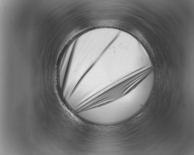 X0000080110992200612301939