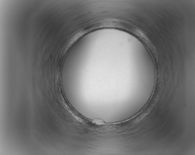 X0000080110993200612301939