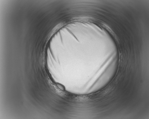 X0000080110994200612301939