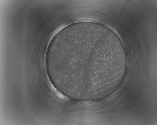 X0000080110995200612301939