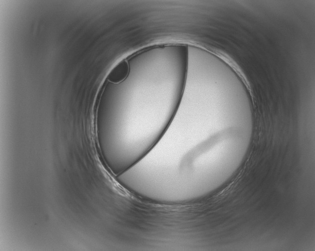 X0000080110996200612301939