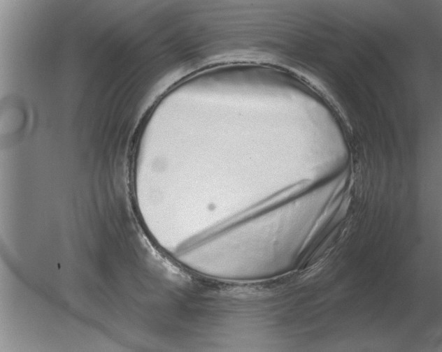 X0000080110998200612301939