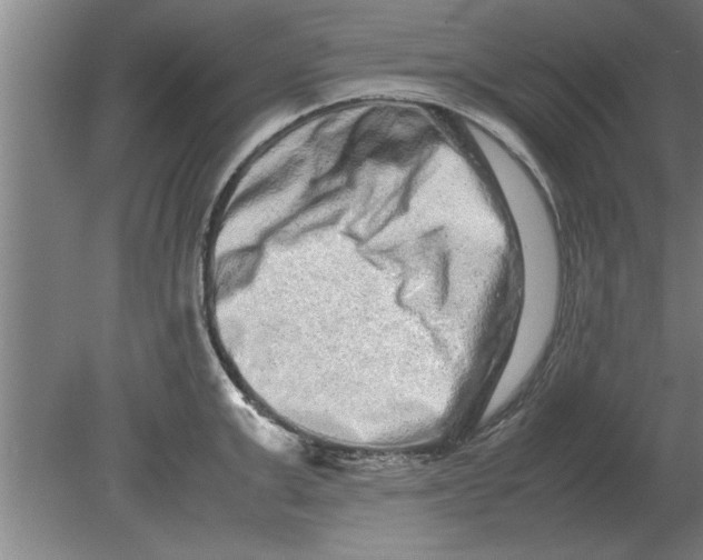 X0000080110999200612301939