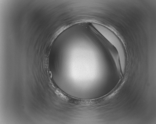 X0000080111001200612301939