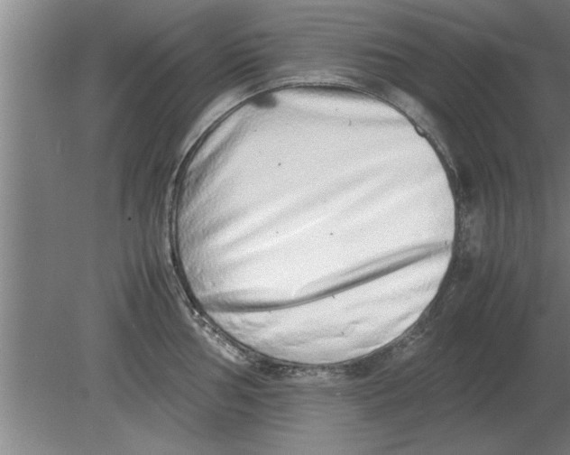 X0000080111002200612301939