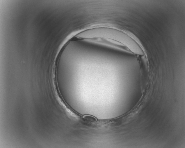 X0000080111005200612301939