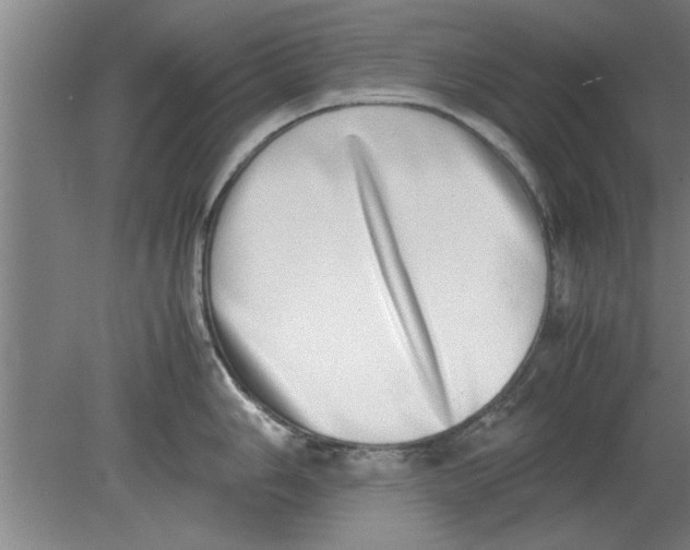 X0000080111006200612301939