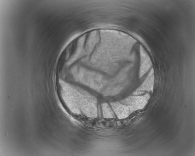 X0000080111007200612301939