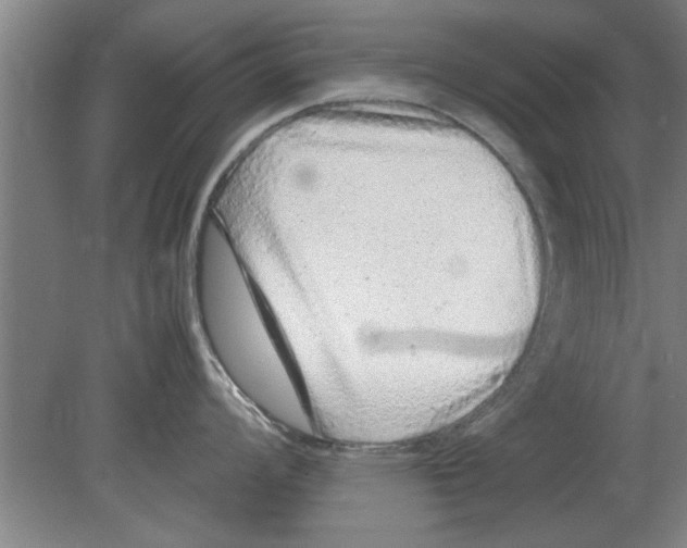 X0000080111008200612301939