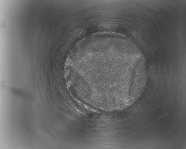 X0000080111009200612301938